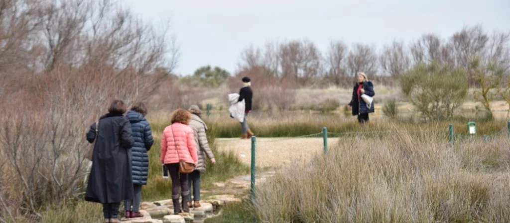 Un grupo de personas cruzando por pasaderas de piedra sobre el agua, en las lagunas de Villafáfila.
